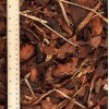 Priežu mizu mulča B, 7/30 mm, 50 l