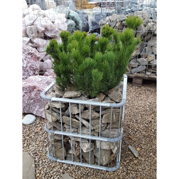 Gabions puķu pods, 42 x 42 x 41 h, cm