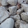 Onix pulēti, sverami, kg