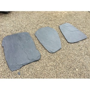 Pēdas Japanese, 50–70 cm, gab.