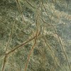 Lokanais akmens Rainforest Green 122 x 61 cm,  (1gab=0,75m2)