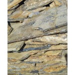 Akmens plāksnes „Fossil” (celiņiem, bruģim), kg