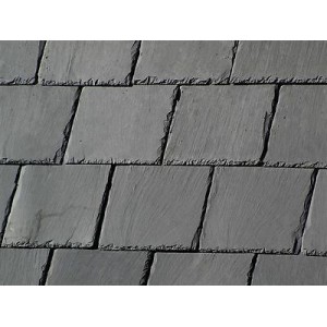 Slānekļa dakstiņ "Vein" 40x20cm, vnt