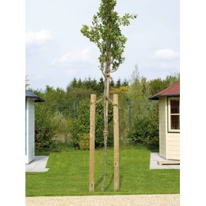 Virpots miets (impregnēts), 4 x 180 cm