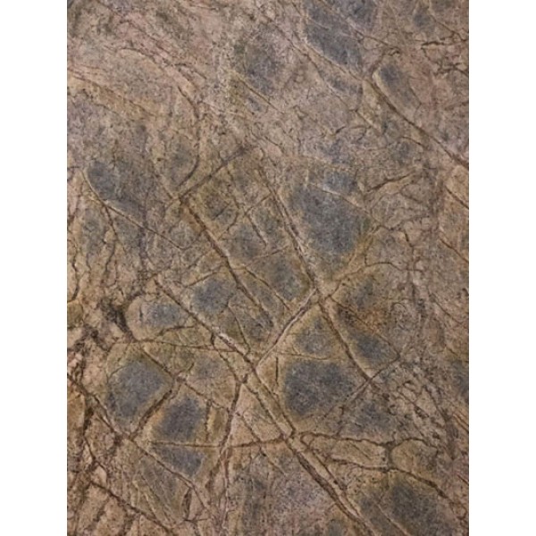 Rainforest Brown lokanais akmens, 265 x 125 cm, m2